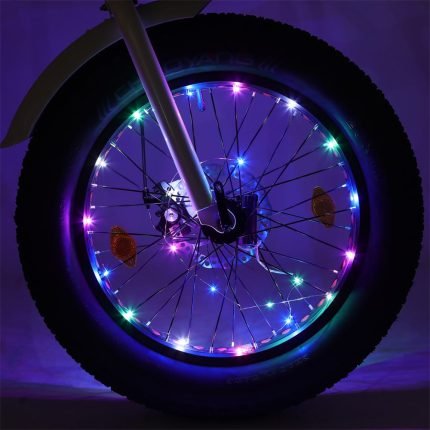 Ecotric Spoke Lights